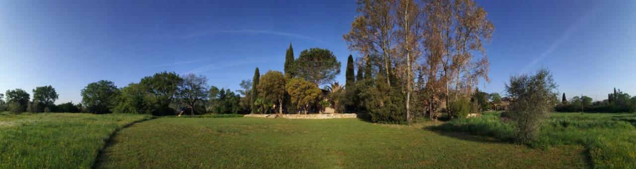 Podere La Fornace Ravi Exterior foto